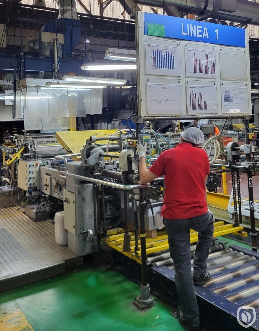 Mailander 460 coating line with LTG tunnel-oven